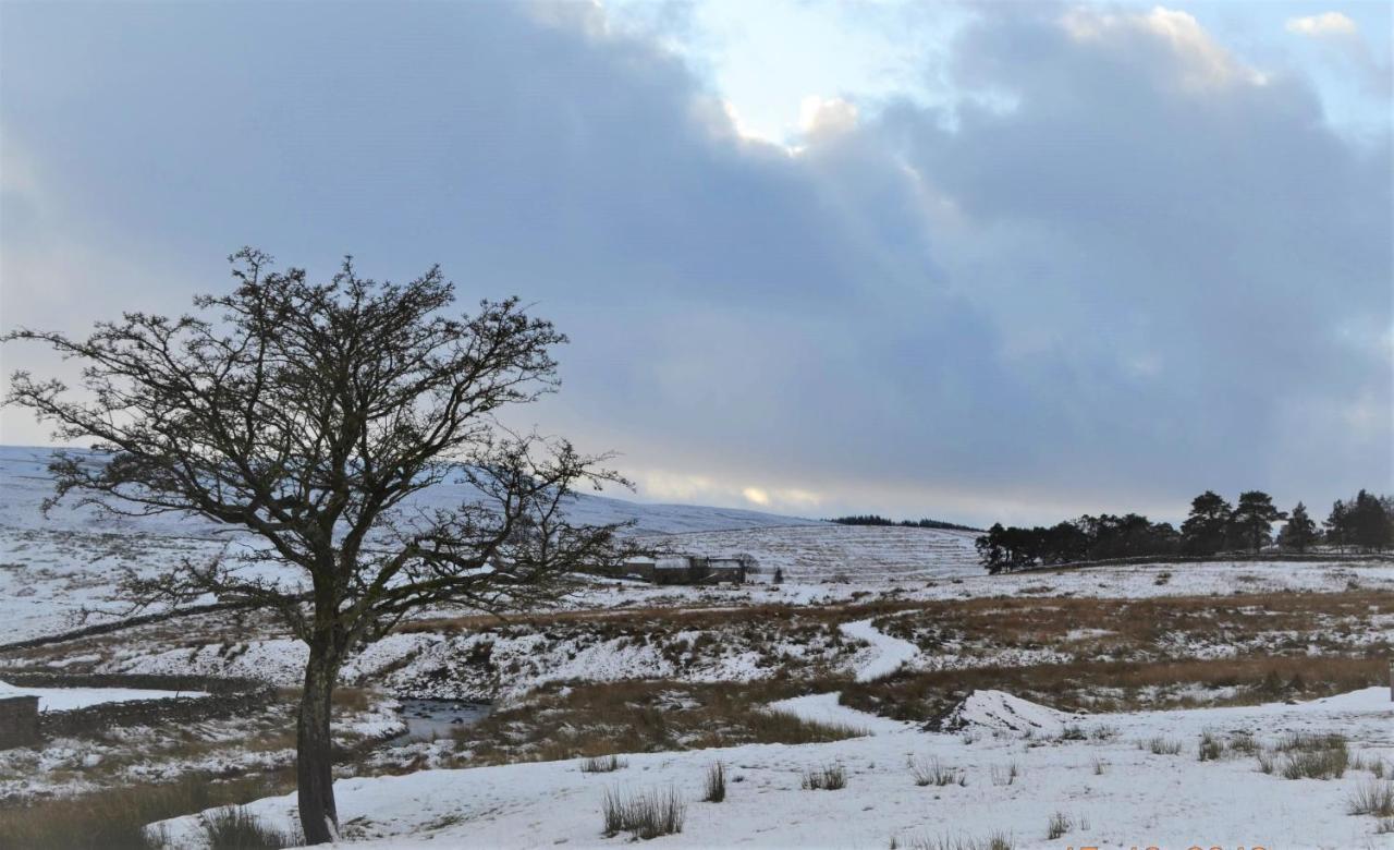 The Garsdale Bed & Breakfast - Goats And Oats At Garsdale Hawes Dış mekan fotoğraf